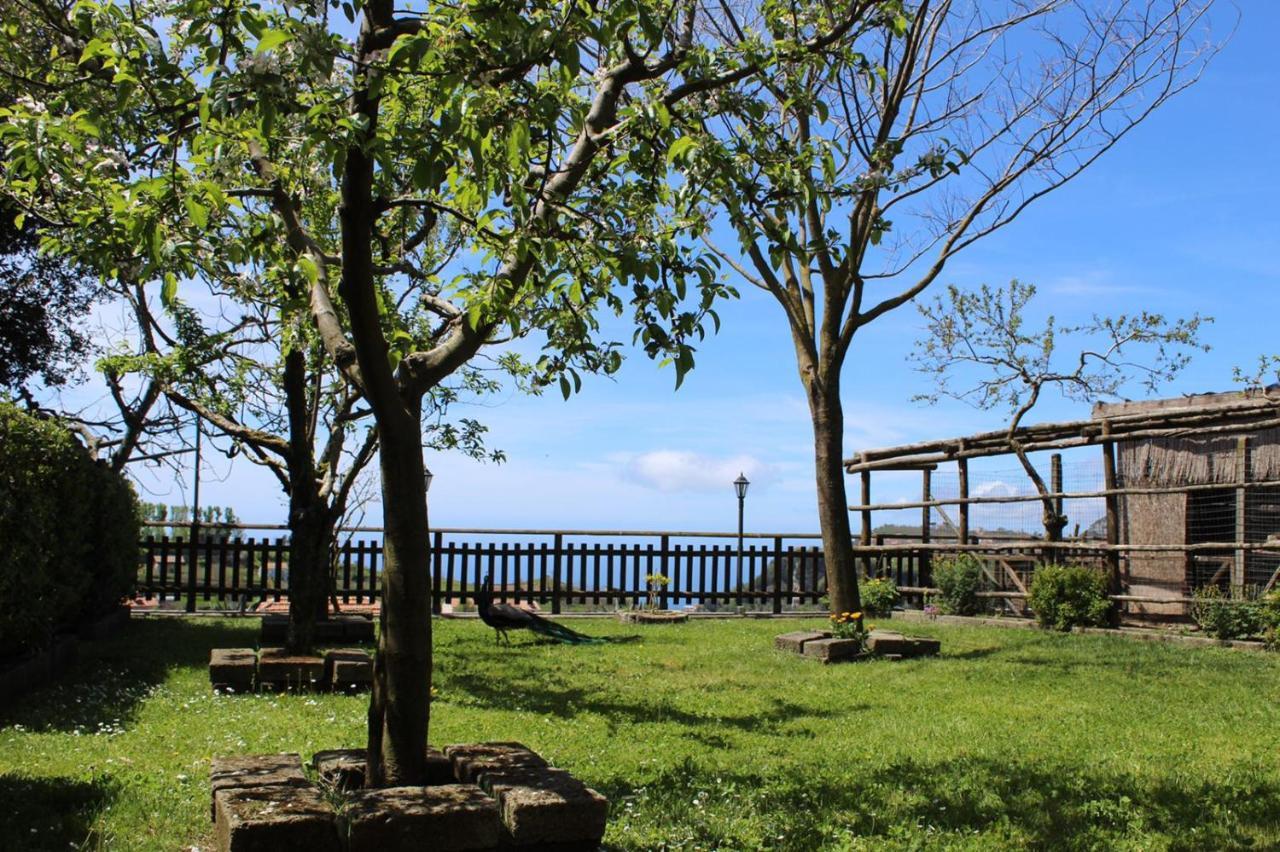 Agriturismo La Baita Agerola Exteriér fotografie